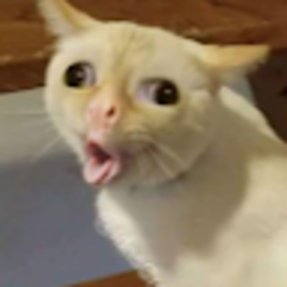 Meet your Posher, Isaac - Picture 1 of 1